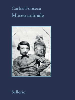 cover image of Museo animale